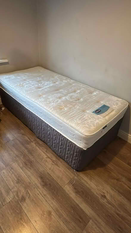 Photo of free 2 single beds + mattress + mirror (D6wTD37) #1