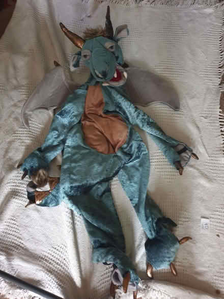 Photo of free Dragon costume (Tinshill LS16) #1
