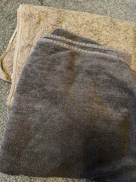 Photo of free Two bath towels (Newton Mearns G77) #1