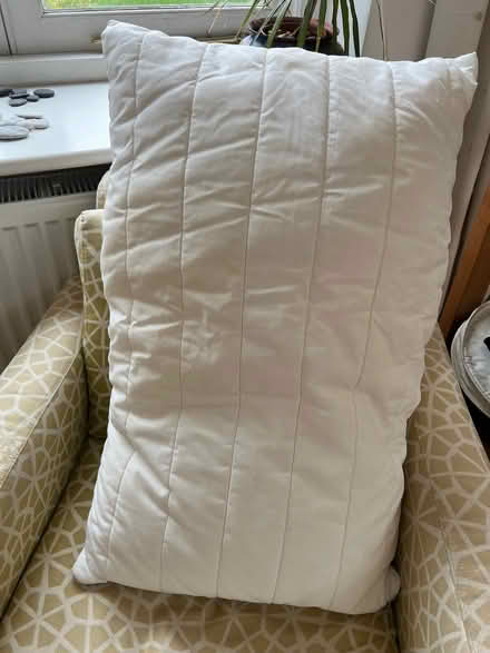 Photo of free Single IKEA Bandblad pillow (Northway OX3) #1
