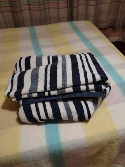 Photo of free 2 bath sheets (Speedwell Bristol) #3