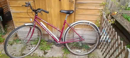 Photo of free Ladies bike (Headley GU35) #1