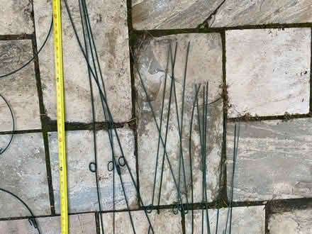 Photo of free Peony stakes rings (Nr Fresh Pond & Mt Auburn Cem.) #2