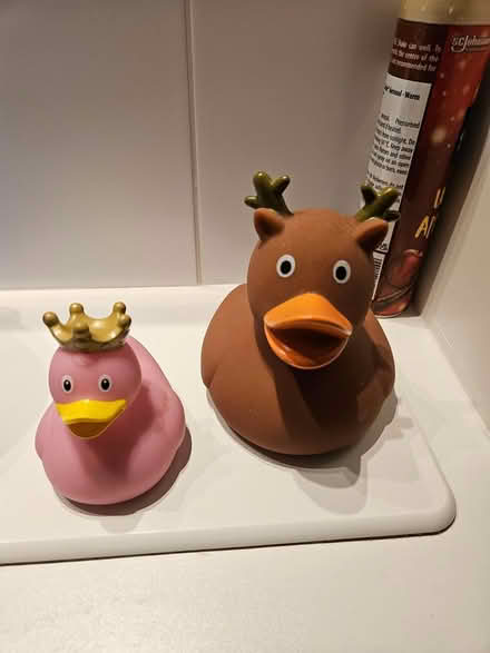 Photo of free Bath toy Ducks (Springfield Street EH6) #1