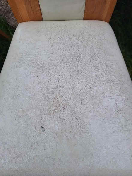 Photo of free 6 Dinning Chairs RG8 (Lower Basildon RG8) #2