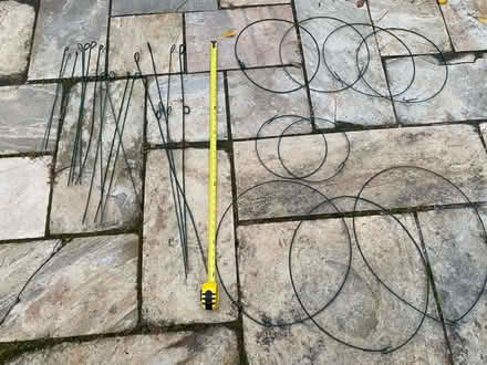Photo of free Peony stakes rings (Nr Fresh Pond & Mt Auburn Cem.) #1