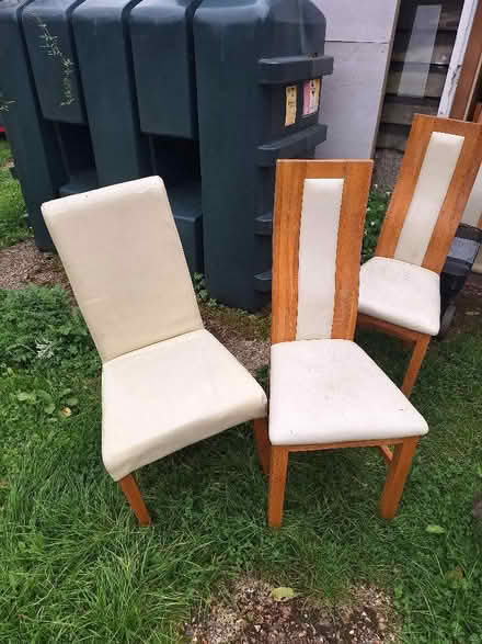 Photo of free 6 Dinning Chairs RG8 (Lower Basildon RG8) #1