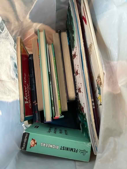 Photo of free Bag of children’s books, 0-5 (Cherry Hinton Ward CB1) #1