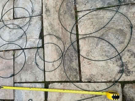 Photo of free Peony stakes rings (Nr Fresh Pond & Mt Auburn Cem.) #3