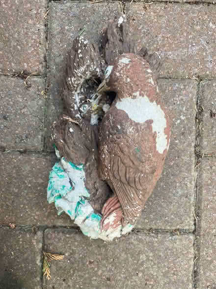 Photo of free Garden Ornaments (CT10) #3