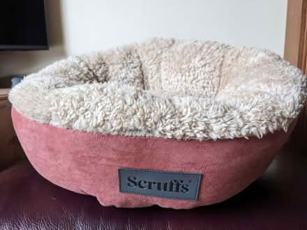 Photo of free Cat bed (Burntwood CH5) #1