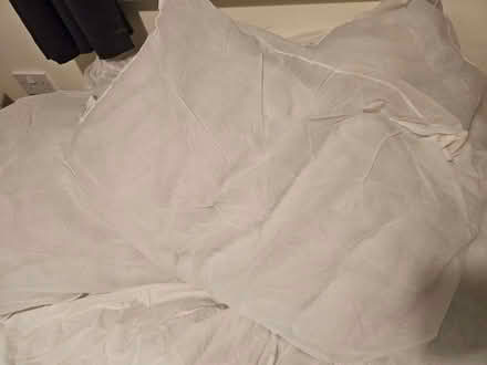 Photo of free 4x Pillows (Monkwick CO2) #2
