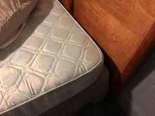 Photo of free King size bed (Eureka) #2