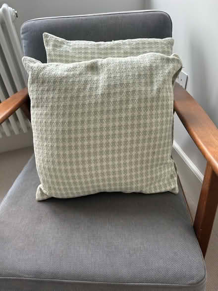 Photo of free Pair of pale green and white Next cushions (Wimbledon Village SW19) #3