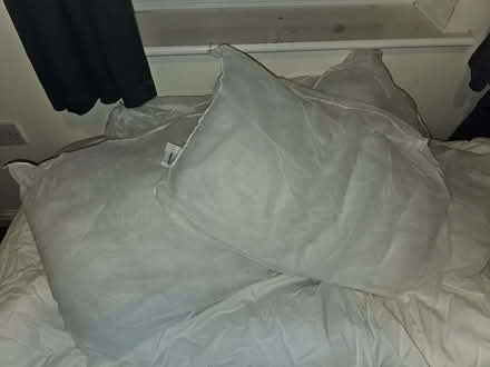 Photo of free 4x Pillows (Monkwick CO2) #1