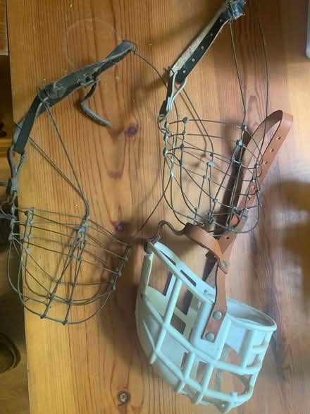 Photo of free Greyhound racing muzzles (Harrietsham ME17) #1