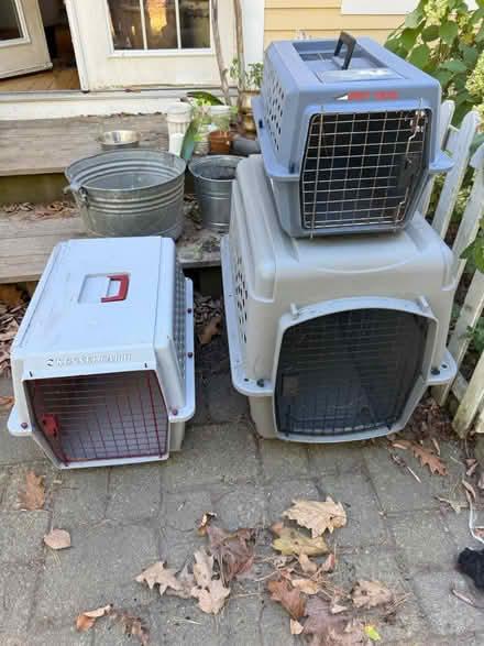 Photo of free Animal carriers (York village) #3
