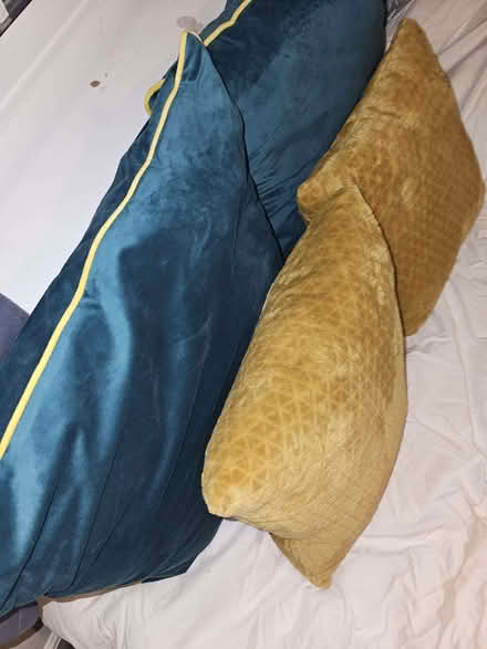 Photo of free Green And Gold Cushions (Monkwick CO2) #2