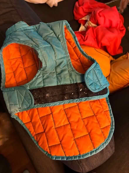 Photo of free Small dog puffer coat (Shoreline) #2