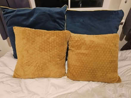 Photo of free Green And Gold Cushions (Monkwick CO2) #3