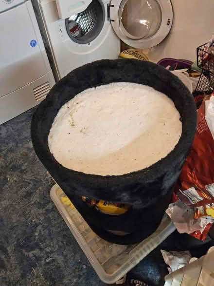 Photo of free Cat bed and Scratching Barrel (Putnoe MK41) #2