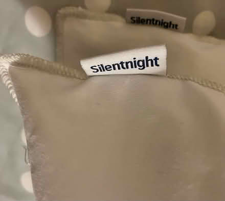 Photo of free 2 x small pillows (Tunbridge Wells N. TN1) #2