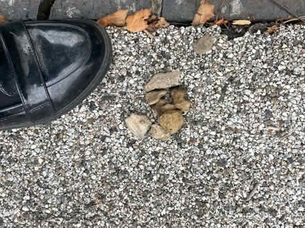Photo of free Bag of gravel/small stones (North Road) #2