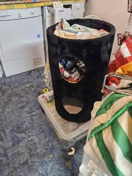 Photo of free Cat bed and Scratching Barrel (Putnoe MK41) #1