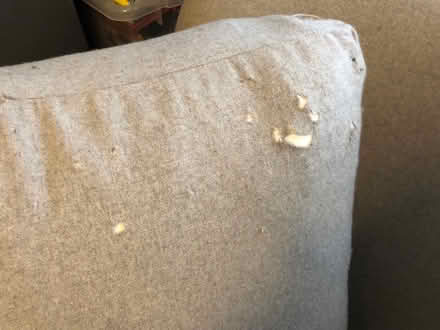 Photo of free Sofa (Widcombe) #3