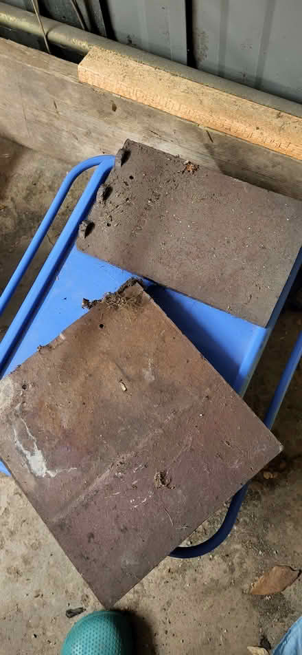 Photo of free Rosemary tiles (Clayton-le-Woods PR25) #2