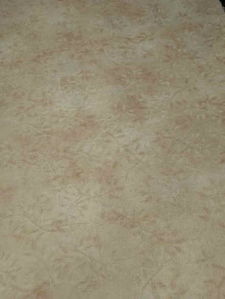 Photo of free Piece of carpet (Hutton CM13) #1