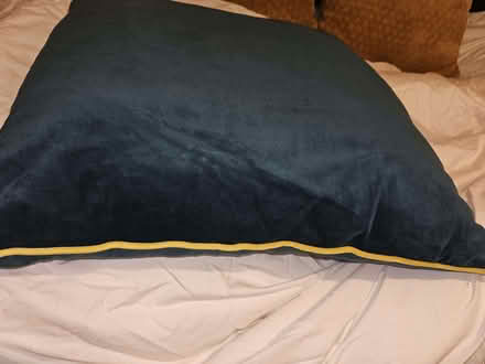 Photo of free Green And Gold Cushions (Monkwick CO2) #4