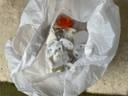 Photo of free Plug socket covers (Brigstock NN14) #1