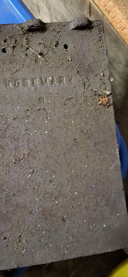 Photo of free Rosemary tiles (Clayton-le-Woods PR25) #3