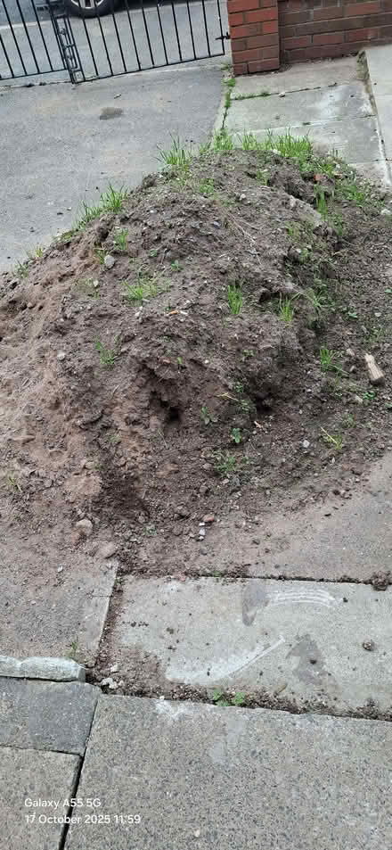 Photo of free Soil (Bidston Moss CH43) #1