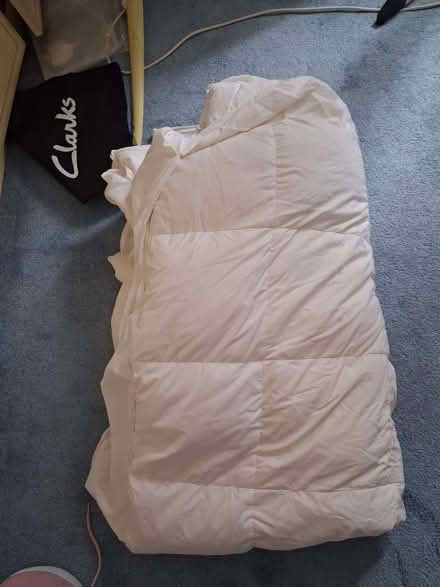 Photo of free King size feather topper (Belmont SM2) #1