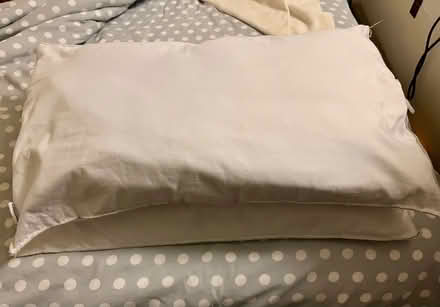 Photo of free 2 x small pillows (Tunbridge Wells N. TN1) #1
