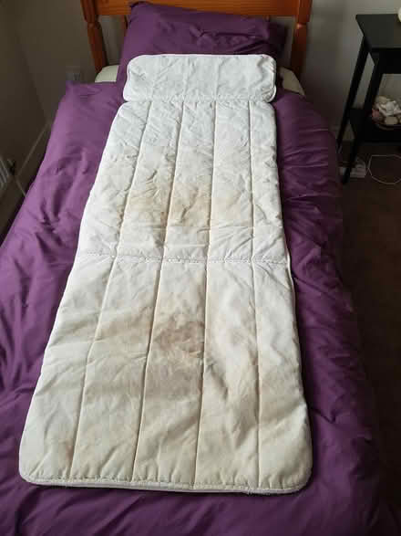 Photo of free IKEA Poang Chair Cover (North Abingdon, OX14) #4