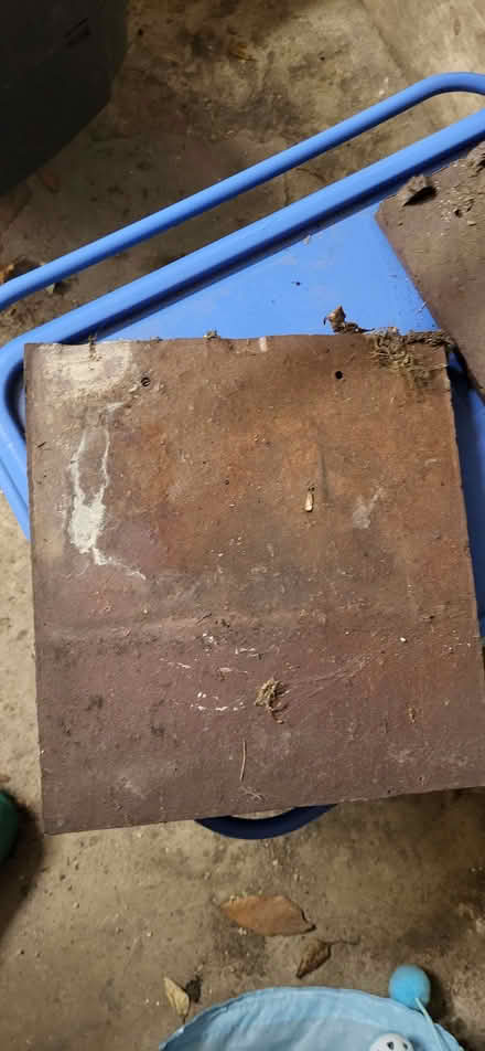 Photo of free Rosemary tiles (Clayton-le-Woods PR25) #1