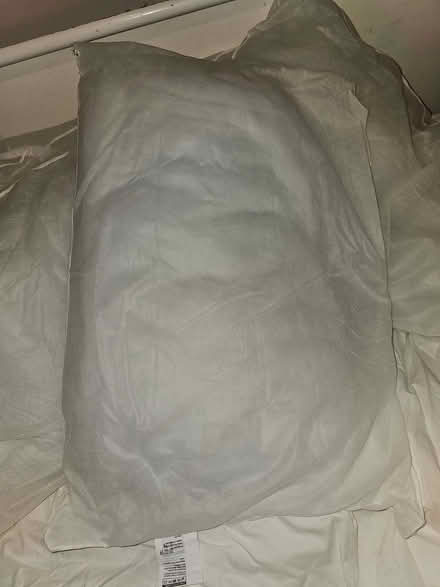 Photo of free 4x Pillows (Monkwick CO2) #4