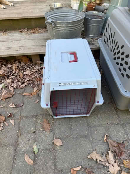 Photo of free Animal carriers (York village) #1