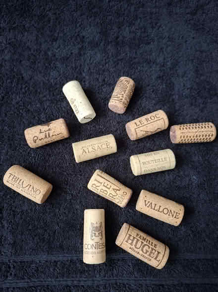 Photo of free Wine Bottle Corks (Welling DA16) #1