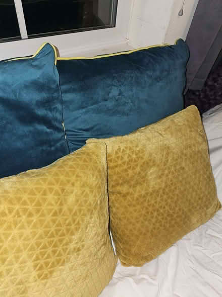 Photo of free Green And Gold Cushions (Monkwick CO2) #1