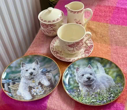 Photo of free Gien Cup/Saucer, Sugar, Milk Jug & Two Plates (Beaconsfield HP9) #1