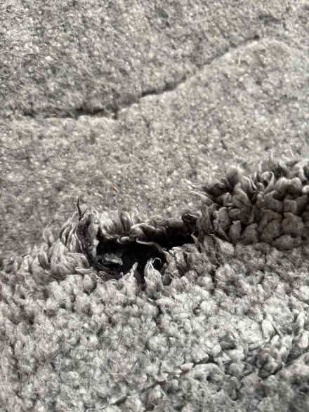 Photo of free Soft dog beds/mats (Catford South SE12) #3