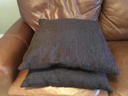 Photo of free Cushions (Berkhamsted HP4) #2