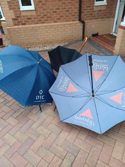 Photo of free 3 umbrellas (Woodley RG5) #2