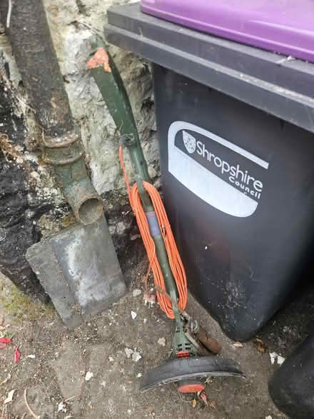 Photo of free Strimmer (SY11) #1