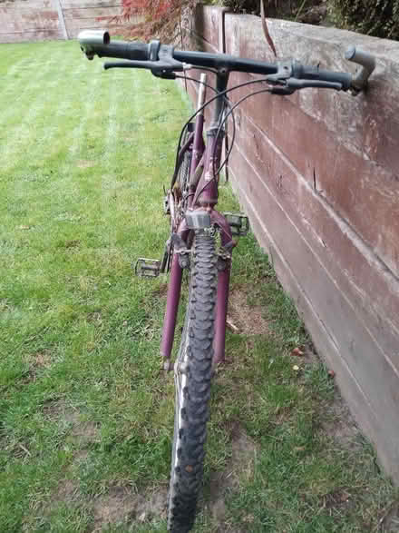 Photo of free Adult Raleigh Bike (Ash Green, GU12) #2