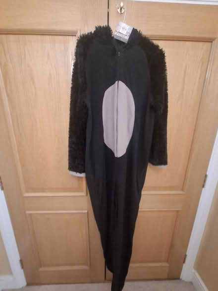 Photo of free Bear onesie (Mill Hill) #1